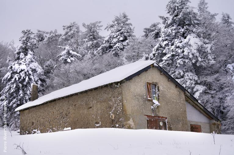 Balade hivernale en Cévennes