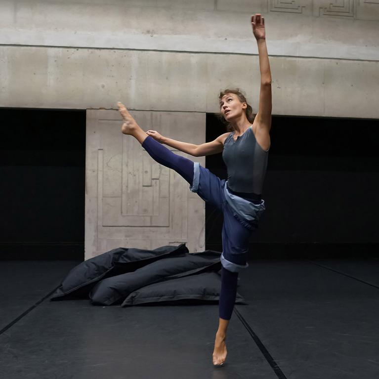 La timidité des arbres CND