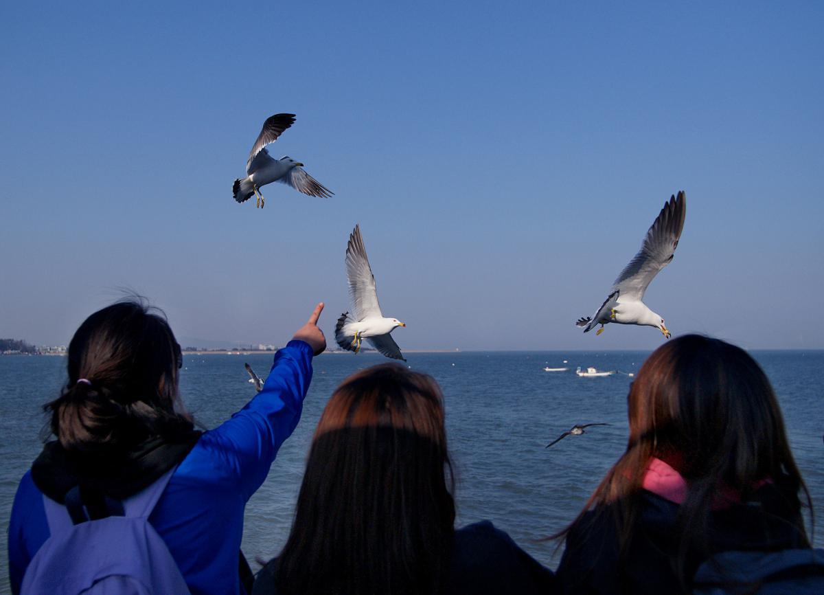 Bleu sur fond de mer Jaune