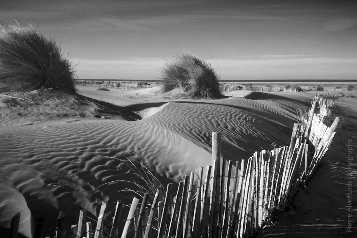 Dunes de camargue