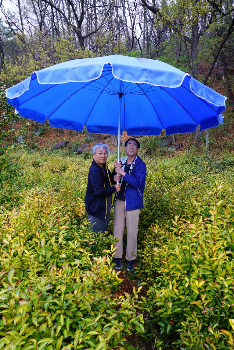 Sous la pluie d'avril...