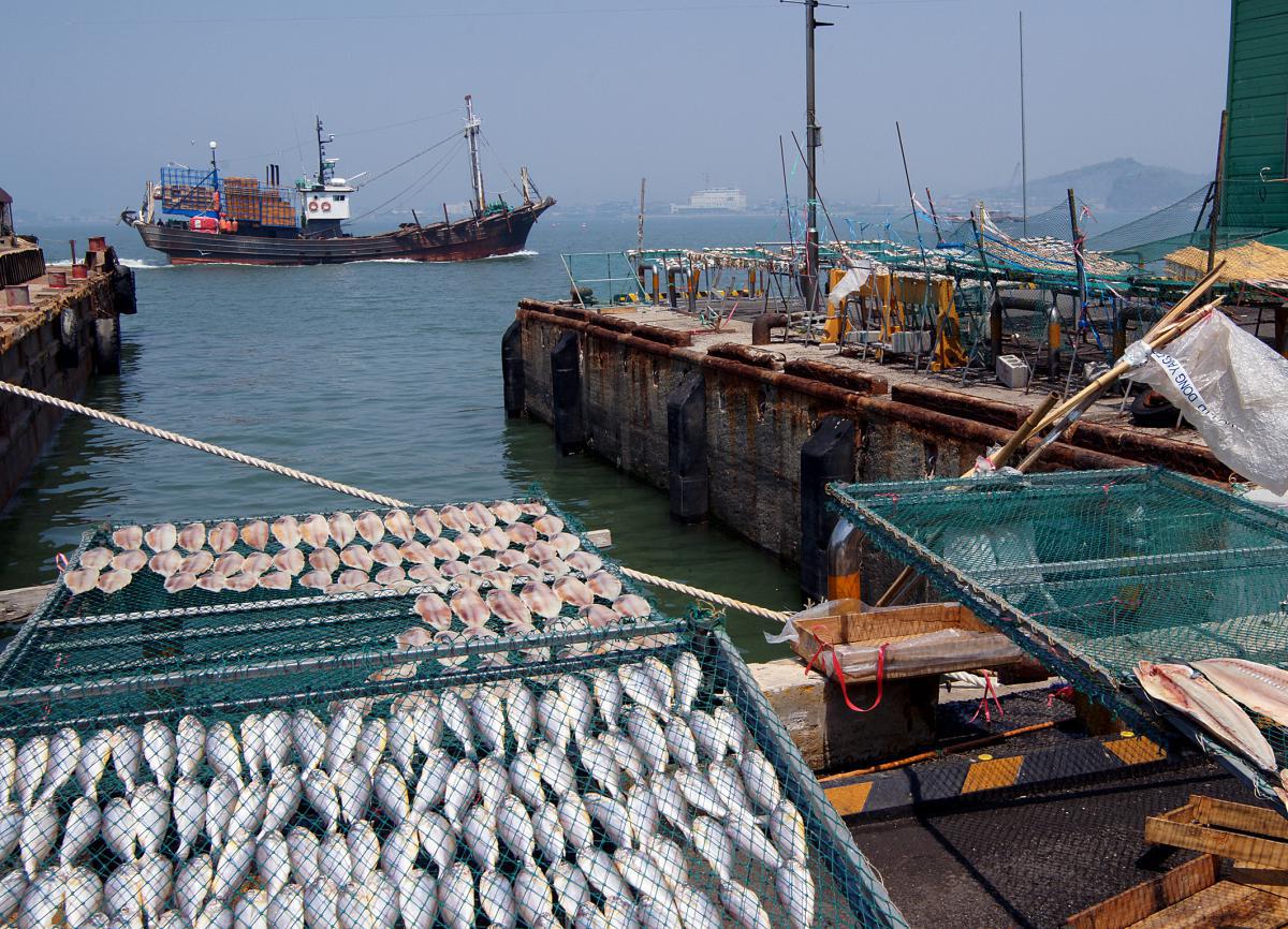 Marché aux poissons de gunsan