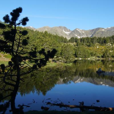 Estany del Viver - Puig Carlit