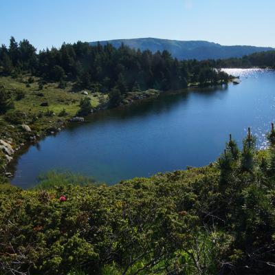 Estany Negtre - Roc d'Aude