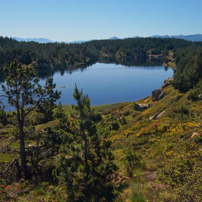 Estany Negre - au fond Canigou  - Puig Gallinas - coll Mitja - Puig roudoun - Cambra d'Asa - Puigmal