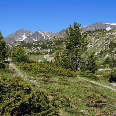 Chemin du Puig Carlit