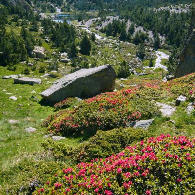 Estany Vallell - vue depuis le chemin du Puig Carlit