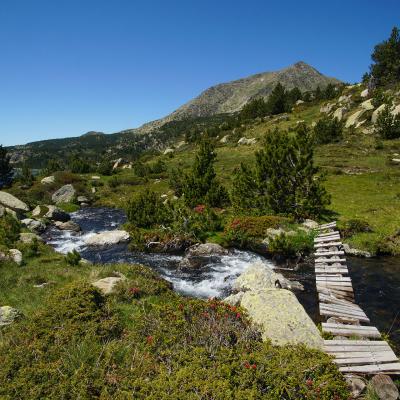 La Têt - Tossal Colomer