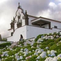 Sào Miguel (Açores)