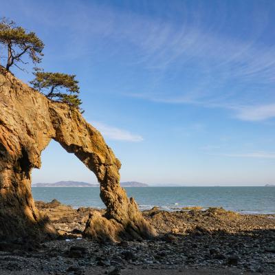 Rocher Namdaemun ou l'éléphant