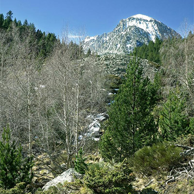 La vallée s'élève vers le pla de l'Estanyol