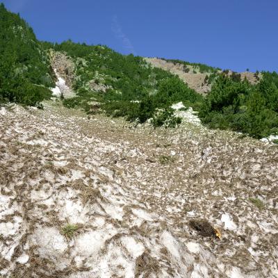 Couloir d'avalanche sous la llissa del Mig