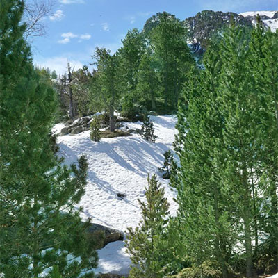 Vers la Vall de Nou Fonts