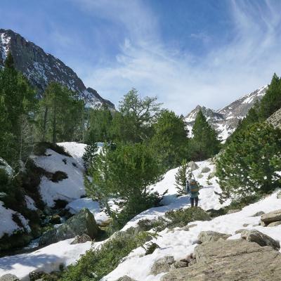 Franchissement d'une moraine glaciaire.. et toujours des éboulis.