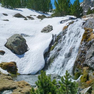 ... et par son père...