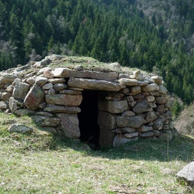 Capitelle de la Jaça de la Castellassa, la forêt de la Taillada