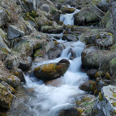 Torrent la Riberola